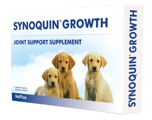 SYNOQUIN GROWTH 60 tabl.