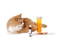 Kissojen lääkkeet